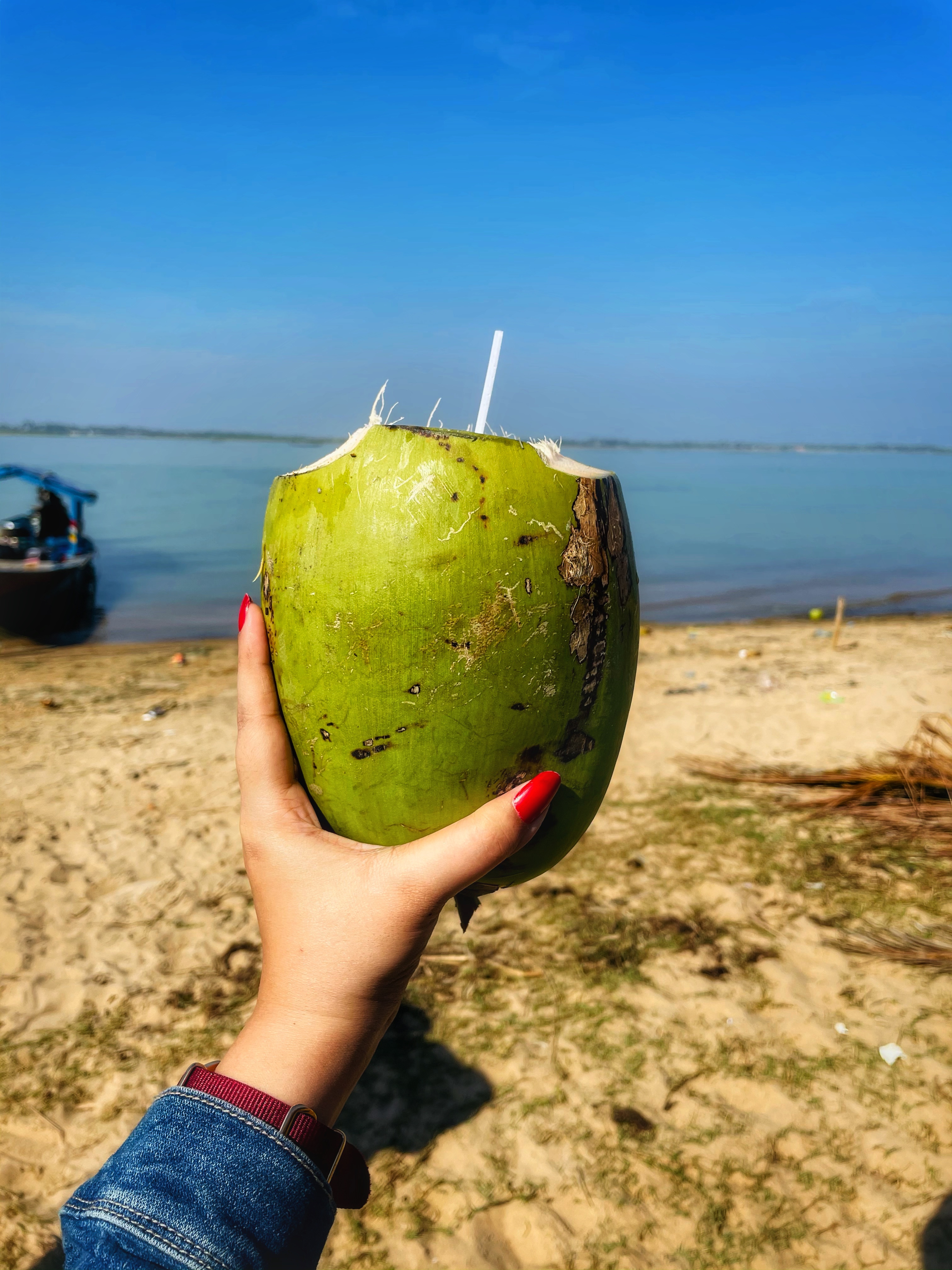 Life with lax Coconut Rajhans Island Satapada Chilika Lake Odisha Tourism Incredible India